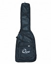 ESTUCHE PARA GUITARRA ELECTRICA