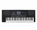 TECLADO ELECTRONICO ARRANGER 61 TECLAS