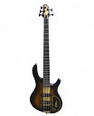 BAJO ELECT. 5 CUERDAS ARTISAN TABACO BURST OPEN PORE