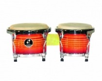 BONGO 7&8