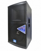 CAJA PASIVA 15