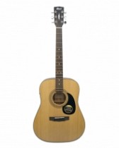 GUITARRA ACUSTICA SERIE STANDARD OPEN PORE C/ESTUCHE