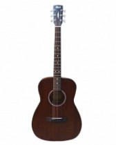 GUITARRA ACUSTICA STANDARD OPEN PORE