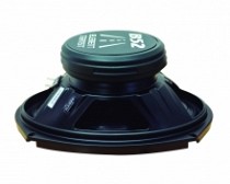 PARLANTE 6X9
