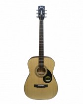GUITARRA ACUSTICA STANDARD OPEN PORE