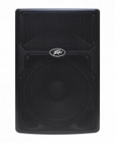 CAJA ACTIVA PVX-SERIE 15