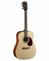 GUITARRA ACUSTICA EARTH NATURAL