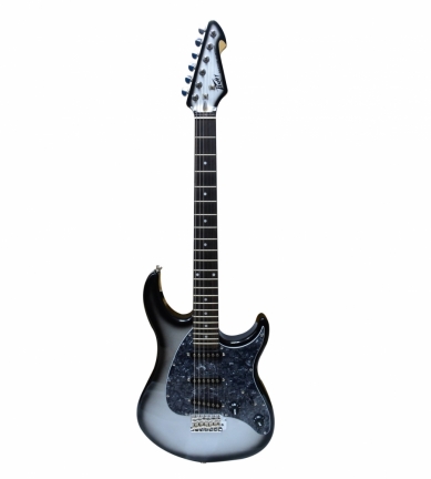 RAPTOR CUSTOM SILVER